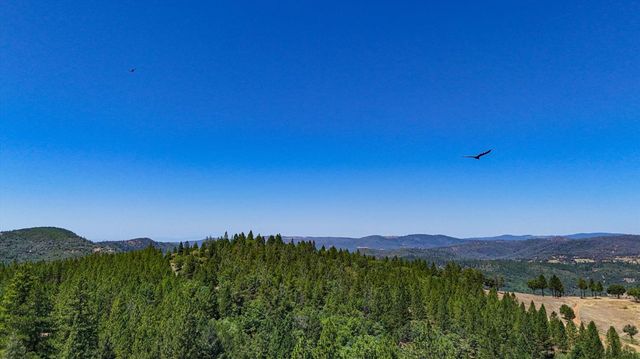 11823 Lost Ranch Way, Nevada City, CA 95959