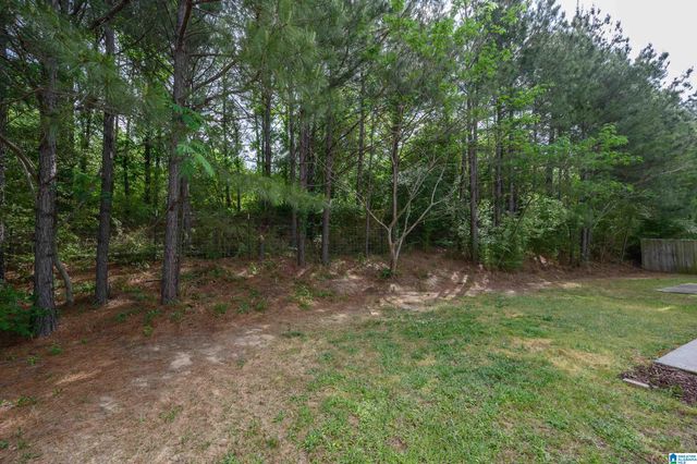 3455 MISTY HOLLOW DRIVE, Bessemer, AL 35022