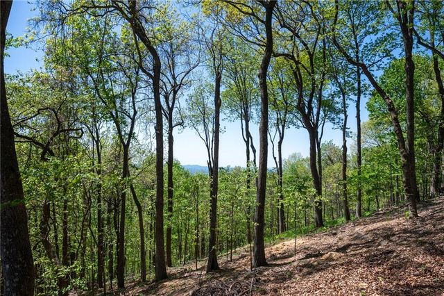 1339 Ridgeview Drive, Big Canoe, GA 30143