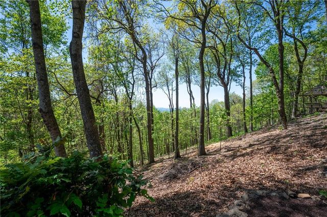 1339 Ridgeview Drive, Big Canoe, GA 30143