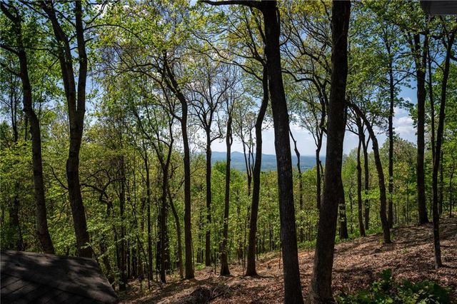 1339 Ridgeview Drive, Big Canoe, GA 30143