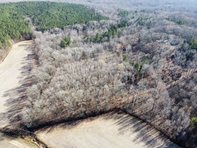 1029 Langford Store Rd, Mc Kenzie, TN 38201