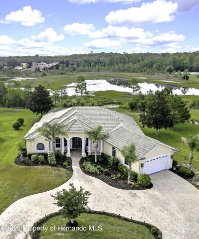 9064 Mississippi Run, Weeki Wachee, FL 34613
