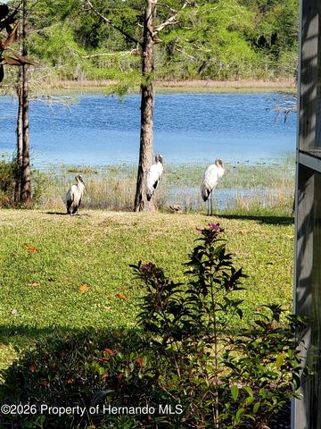 9064 Mississippi Run, Weeki Wachee, FL 34613