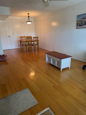 8100 DR MARTIN LUTHER KING JR STREET N 208, St Petersburg, FL 33702
