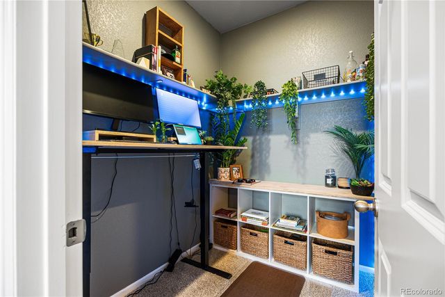 1674 Rumley Creek Drive, Windsor, CO 80550