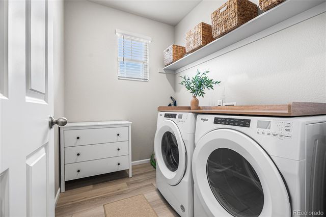 1674 Rumley Creek Drive, Windsor, CO 80550