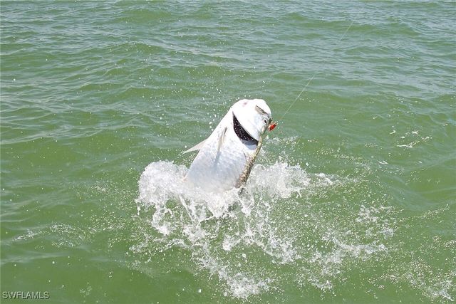 350 Newport DR 1906, Naples, FL 34114