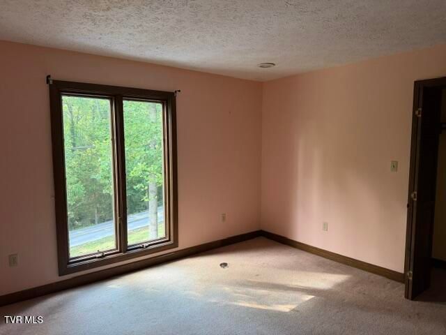733 Blakley Drive, Kingsport, TN 37664
