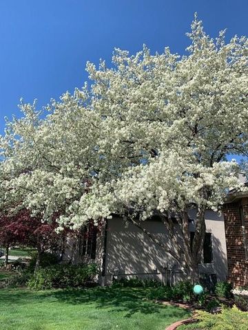 12549 Connell Drive, Overland Park, KS 66213