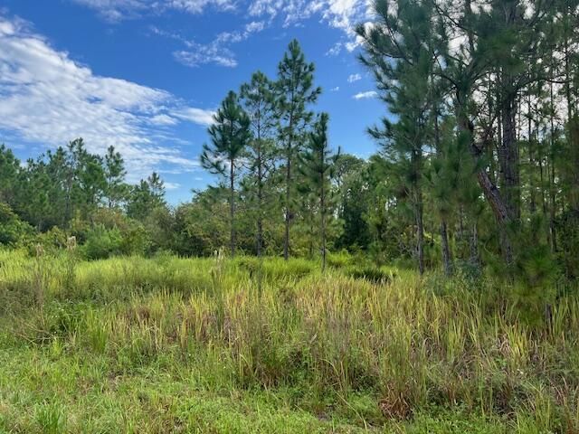 1137 Greenfield Street, Lake Placid, FL 33852