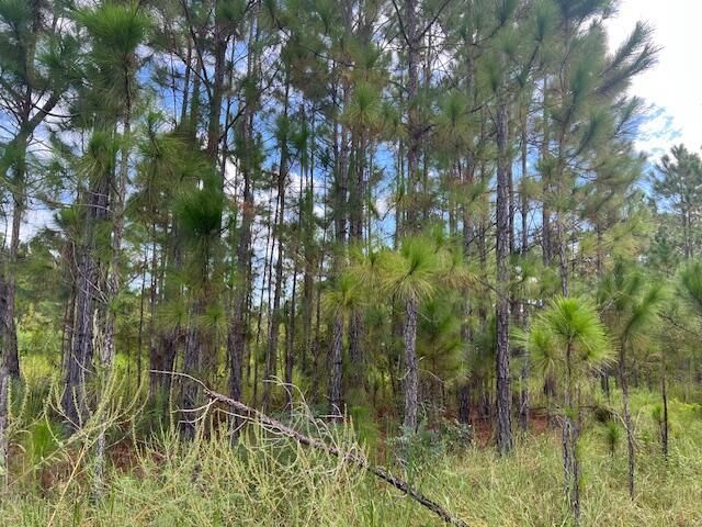 1137 Greenfield Street, Lake Placid, FL 33852