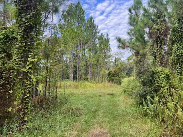 1137 Greenfield Street, Lake Placid, FL 33852