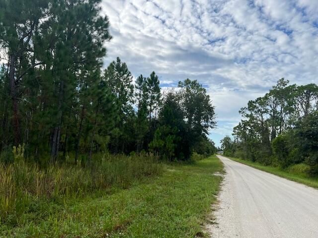 1137 Greenfield Street, Lake Placid, FL 33852