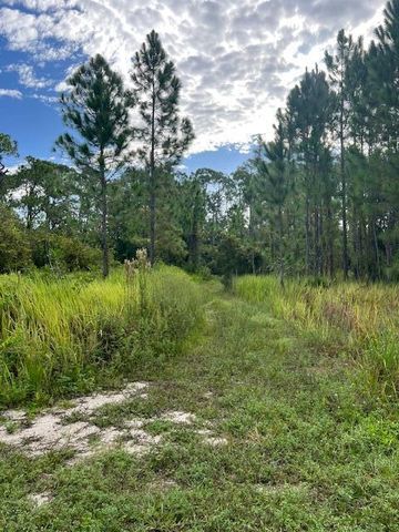 1137 Greenfield Street, Lake Placid, FL 33852