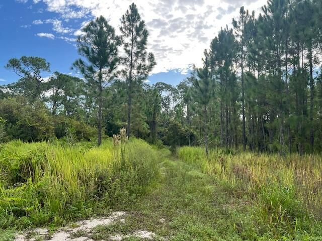 1137 Greenfield Street, Lake Placid, FL 33852