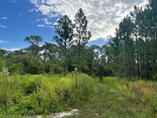 1137 Greenfield Street, Lake Placid, FL 33852