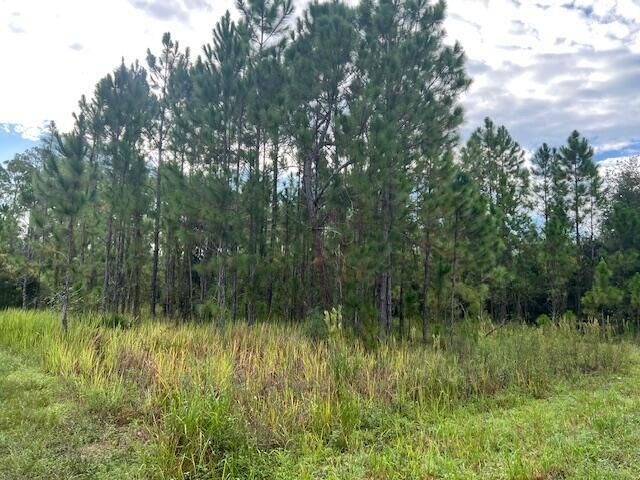 1137 Greenfield Street, Lake Placid, FL 33852