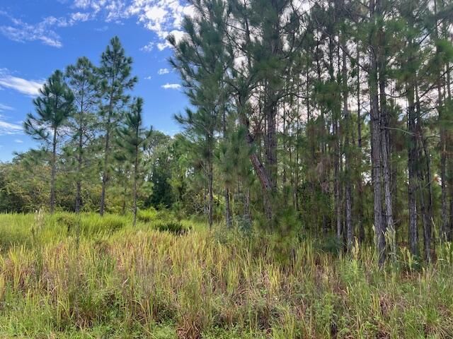 1137 Greenfield Street, Lake Placid, FL 33852