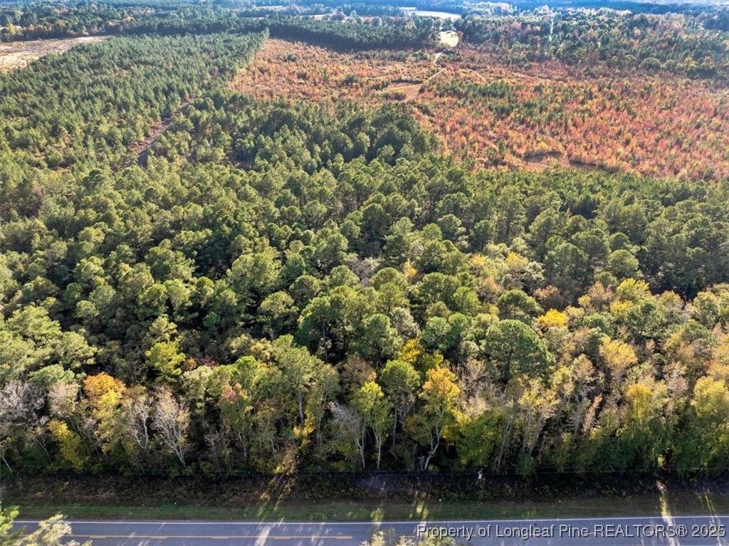 N. Shannon Road, Red Springs, NC 28377 — photo 2