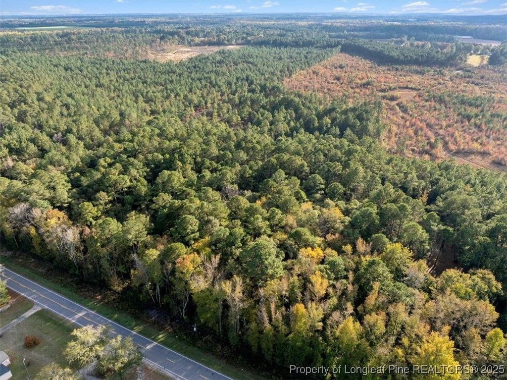 N. Shannon Road, Red Springs, NC 28377 — photo 3