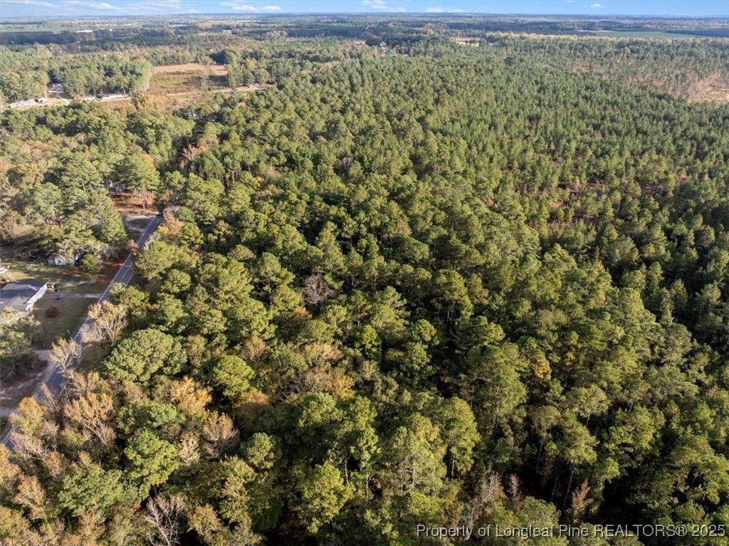 N. Shannon Road, Red Springs, NC 28377 — photo 4