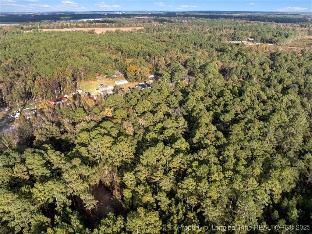 N. Shannon Road, Red Springs, NC 28377 — photo 5