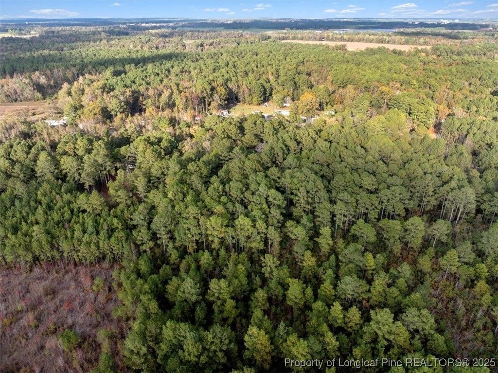 N. Shannon Road, Red Springs, NC 28377 — photo 6