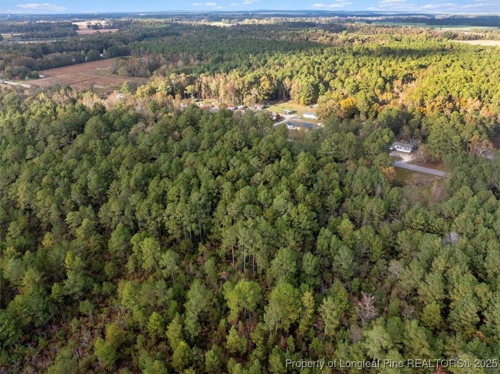 N. Shannon Road, Red Springs, NC 28377 — photo 7