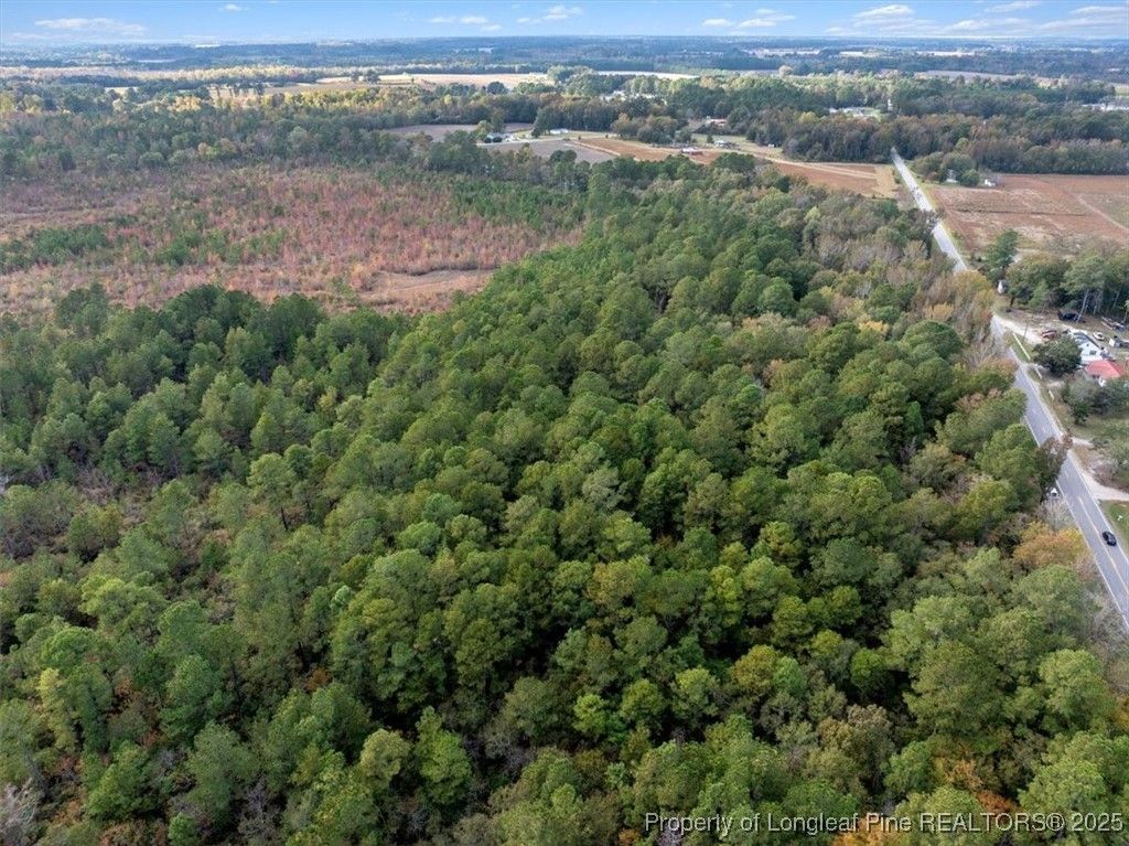 N. Shannon Road, Red Springs, NC 28377 — photo 8