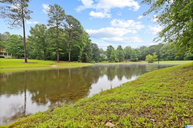 455 DOGWOOD LAKES DRIVE, Chelsea, AL 35043