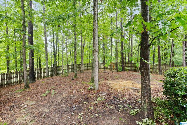 455 DOGWOOD LAKES DRIVE, Chelsea, AL 35043