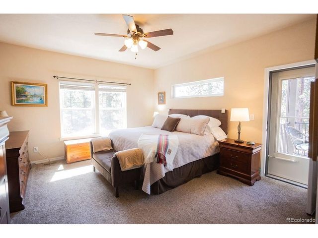 45 Valley Cir, Divide, CO 80814