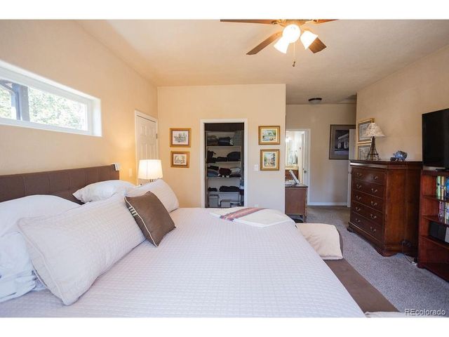 45 Valley Cir, Divide, CO 80814