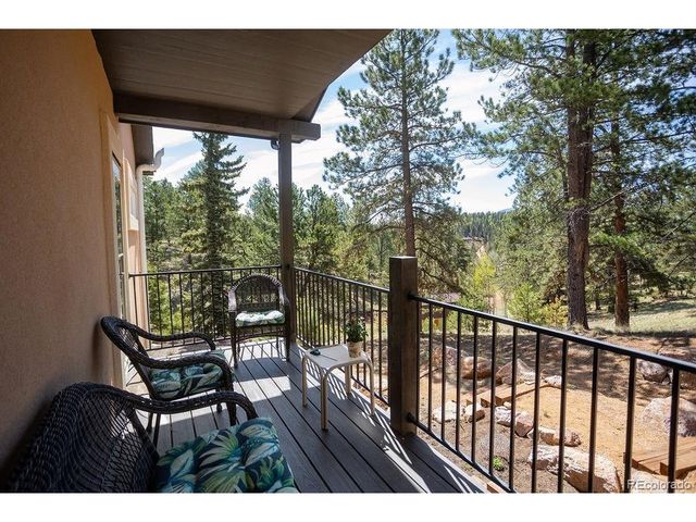45 Valley Cir, Divide, CO 80814