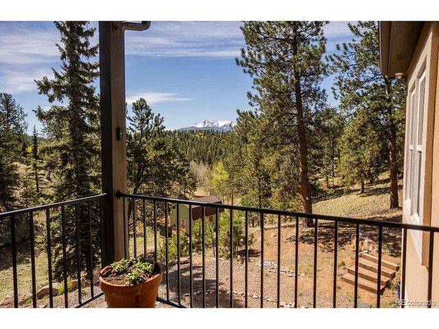 45 Valley Cir, Divide, CO 80814