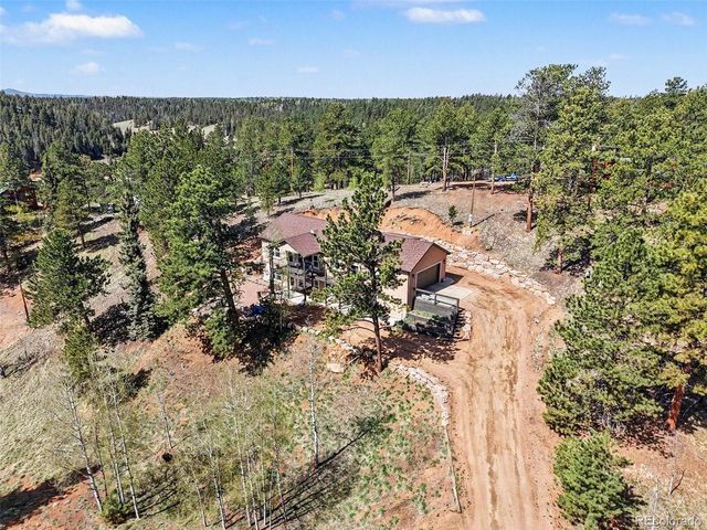 45 Valley Cir, Divide, CO 80814