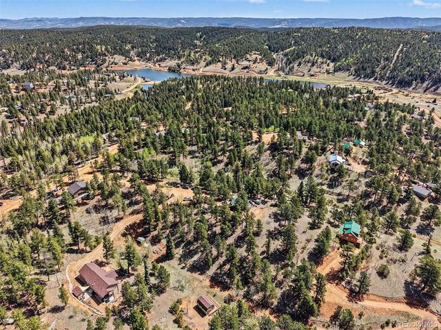 45 Valley Cir, Divide, CO 80814