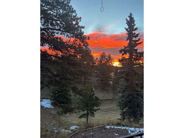 45 Valley Cir, Divide, CO 80814