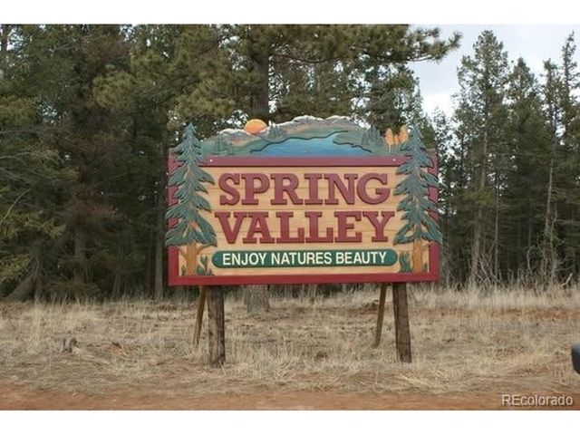 45 Valley Cir, Divide, CO 80814