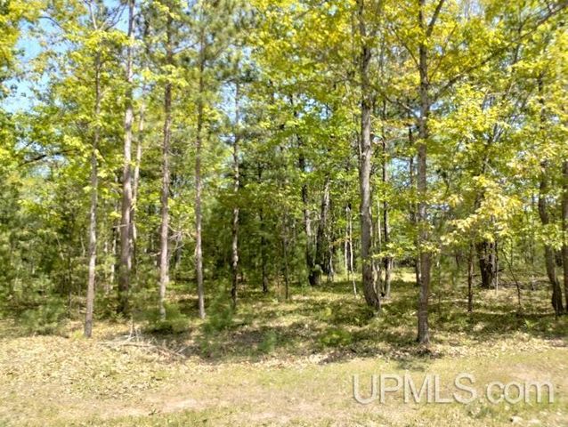 10471 Breezy R.2 Lane, Rapid River, MI 49878