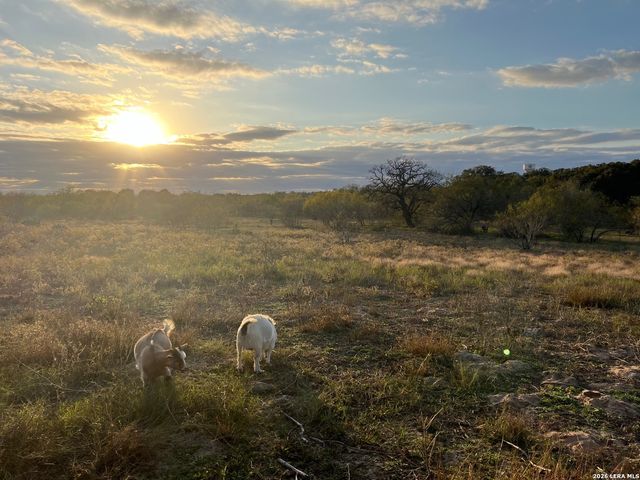 370 ALBERTS LN, Somerset, TX 78069