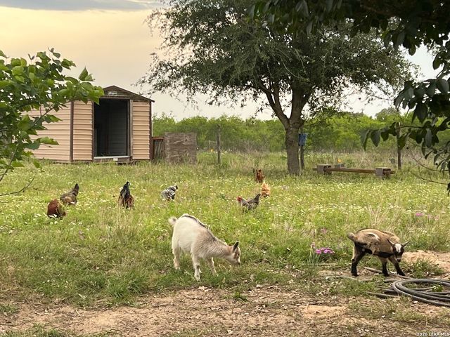 370 ALBERTS LN, Somerset, TX 78069