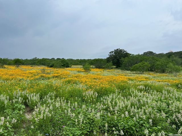 370 ALBERTS LN, Somerset, TX 78069