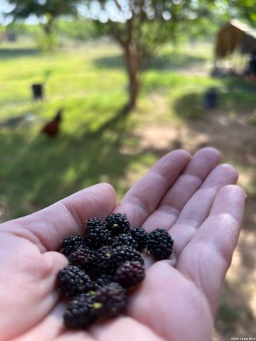 370 ALBERTS LN, Somerset, TX 78069