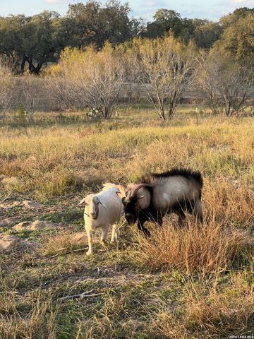 370 ALBERTS LN, Somerset, TX 78069