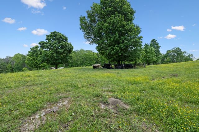 1494 Grant Rd, Watertown, TN 37184