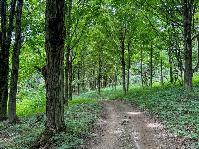 2920 Buffalo Road, Orangeville, NY 14167