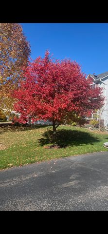 6785 Wildflower Drive S, Cottage Grove, MN 55016