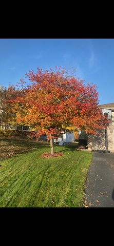 6785 Wildflower Drive S, Cottage Grove, MN 55016